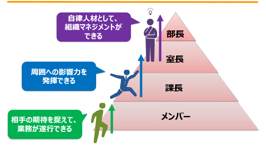 丸善のキャリアステップ